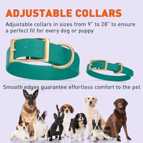 Viper Biothane Heavy Duty Waterproof Dog Collar Strong Coated Nylon Webbing w/Solid Brass Hardware Odor-Proof Easy to Clean High Performance Fits Small Medium or Large Dogs, Blue Aqua