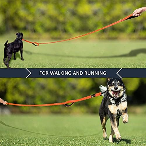 Plutus Pet Double Handle Dog Leash, 5 FT Long, for Medium Large Dogs