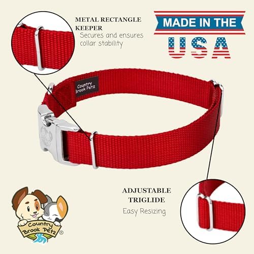 Country Brook Petz - Premium Nylon Dog Collar with Metal Buckle for Small Medium Large Breeds - 30+ Colors (Large, 1 Inch, Red)