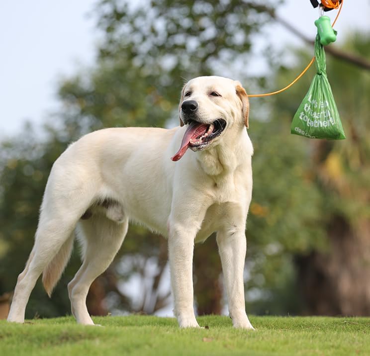 Dog Poop Bags with Handles, 300 Bags, Large Size, Unscented
