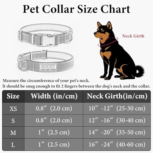 Personalized Dog Collars with Name & Phone Number, Neoprene Padded