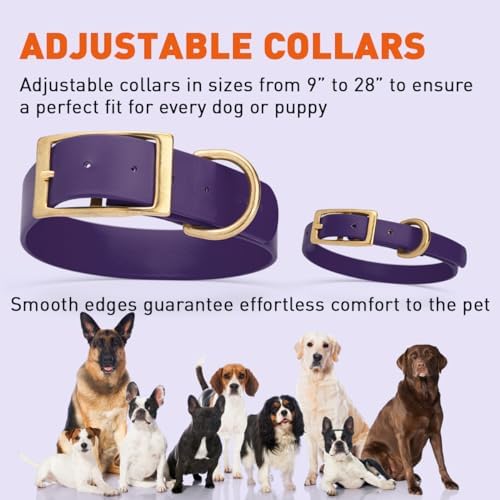 Viper Biothane Heavy Duty Waterproof Dog Collar Strong Coated Nylon Webbing w/Solid Brass Hardware Odor-Proof Easy to Clean High Performance Fits Small Medium or Large Dogs, Violet Purple