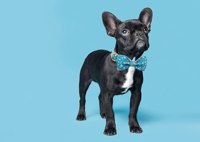 Lionet Paws Christmas Dog Collar with Bowtie Durable Adjustable Handmade Comfortable Bow Tie Dog Collar Cat Collar with Metal Buckle for XS Dogs Cats,Party,Festival,Holiday Style,Neck 8-12in