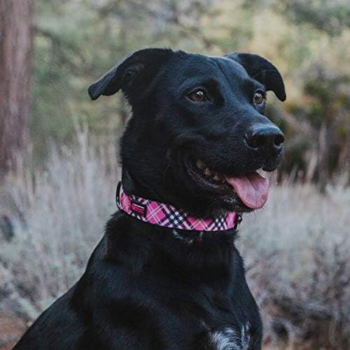Max and Neo Plaid Pattern NEO Dog Collar - We Donate a Collar to a Dog Rescue for Every Collar Sold (Pink, Small)