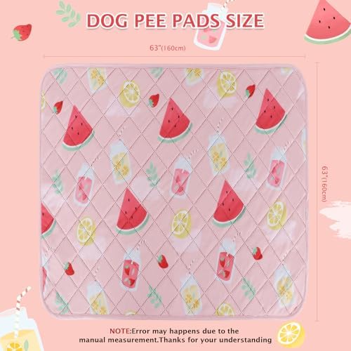 BVAGSS Washable Pee Pads for Dogs, Reusable Leakproof Puppy Wee Pad, 63x63 Inch (Watermelon, Pack of 1)