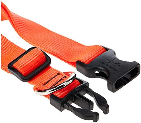 LupinePet Basics 1" Blaze Orange 12-20" Adjustable Collar for Medium and Larger Dogs