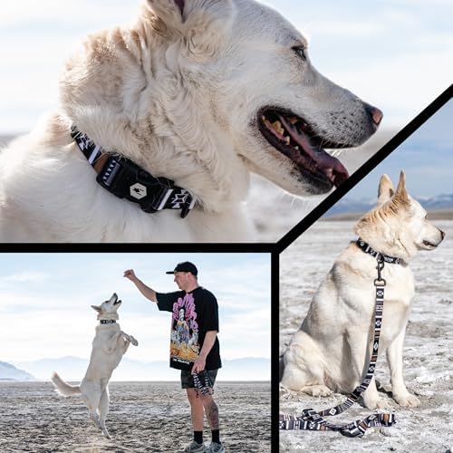 Wolfgang Heavy Duty, Adjustable Dog Collar with Quick Release Nylon Buckle for Walking & Training, NewMoon Print, Large