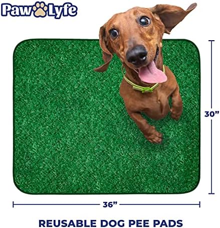PawLyfe Reusable Pee Pads for Dogs - 2 Pack, 30" x 36" Washable Puppy Pads with Grass Print - Waterproof Dog Training Pee Mats - Non-Slip - Large Pet Pads for Indoors - Quilted Whelping Pads for Home