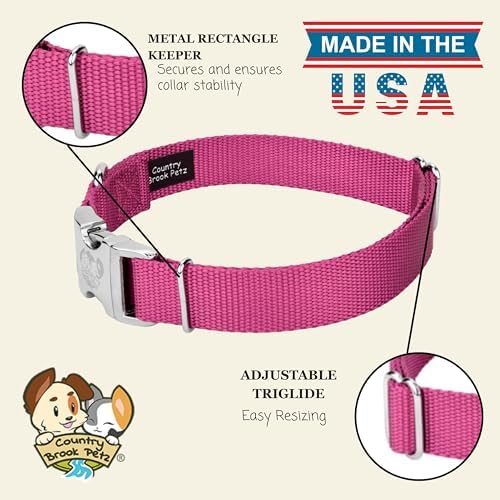 Country Brook Petz - Premium Nylon Dog Collar with Metal Buckle for Small Medium Large Breeds - 30+ Colors (Medium, 3/4 Inch, Rose)