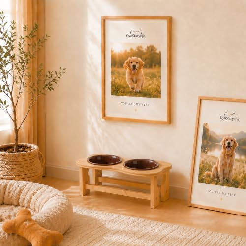 Bone Elevated 7.1" Ceramic Medium Dog Bowls, Raised Dog Bowl Stand