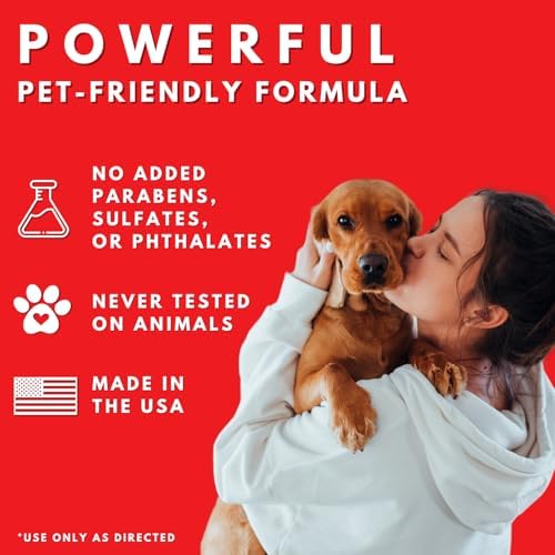 Show Out Odor Control & Urine Smell Remover - Eliminates Odors from Dog, Pet, Horse, Cat, Trailers, Carpet and Homes - Makes 2.5 Gallons of Spray. Pee Odor Destroyer, Eliminator & Enzyme Cleaner
