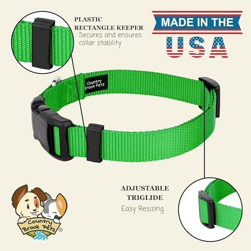 Country Brook Petz - Everyday Nylon Dog Collar for Large, Medium, and Small Dogs and Puppies - for Everyday Use in 30+ Colors (Medium, 3/4 Inch Wide, Hot Lime Green)