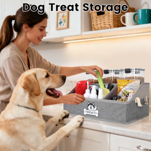 Dog Treat Storage Organizer for Countertop with Fabric Handle and Dividers