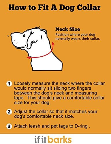 If It Barks Personalized 1.5" Striped Dog Collar - Engraved Name - Custom Size, Blueberry