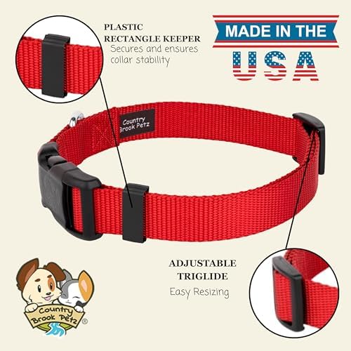 Country Brook Petz - Everyday Nylon Dog Collar for Large, Medium, and Small Dogs and Puppies - for Everyday Use in 30+ Colors (Large, 1 Inch Wide, Bright Red)