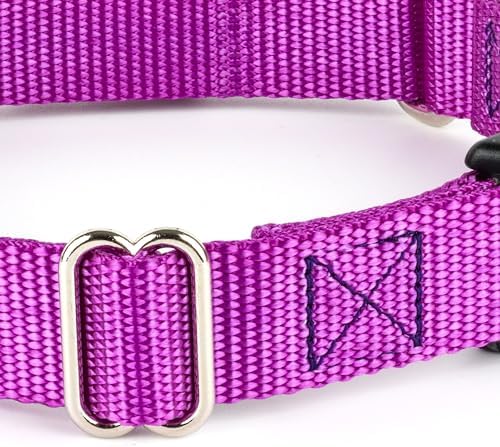 Martingale Dog Collar - Heavy Duty Nylon Adjustable Martingale Dog Collar with Plastic Buckle for Small Medium Large Breeds - 30+ Colors (1 Inch, Extra Large, Bright Purple)