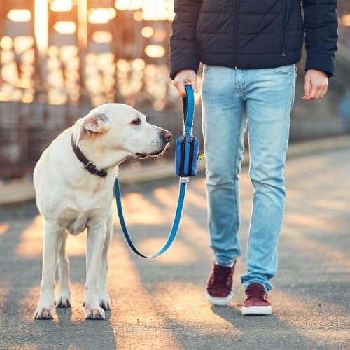 Dog Poop Bag Holder for Leashes and Treat Holder with 3 Waterproof Pouches