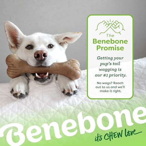 Benebone Bone Dog Chew Toy for Aggressive Chewers, Real Bacon, Giant