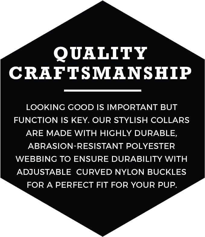 Wolfgang Heavy Duty, Adjustable Dog Collar with Quick Release Nylon Buckle for Walking & Training, DarkSkies Print, Large