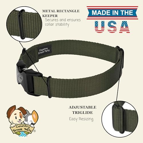 Country Brook Petz - Premium Nylon Dog Collar with Metal Buckle for Small Medium Large Breeds - 30+ Colors (Medium, 3/4 Inch, Dark Olive Drab)