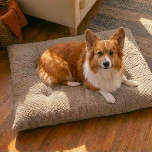 Best Friends by Sheri Comfy Crate Dog Bed Washable, Mushroom, 36" x 24"