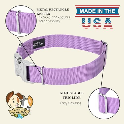 Country Brook Petz - Premium Nylon Dog Collar with Metal Buckle for Small Medium Large Breeds - 30+ Colors (Medium, 3/4 Inch, Lavender)