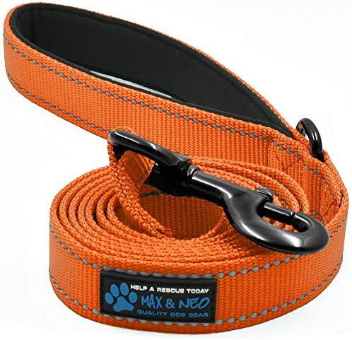 Max and Neo Reflective Nylon Dog Leash - We Donate a Leash for Every One Sold (Orange, 6ft)