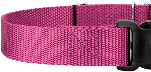 Martingale Dog Collar - Heavy Duty Nylon Adjustable Martingale Dog Collar with Plastic Buckle for Small Medium Large Breeds - 30+ Colors (3/4 Inch, Small, Rose)