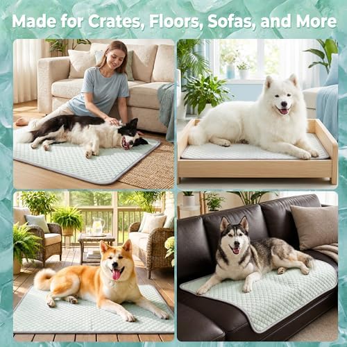PatiencET Large Dog Cooling Mat, 32 x 44 in No-Gel Cooling Pad for Dogs, Cool Touch Pet Mat with Ice-Dot Texture, Washable Summer Dog Mat for Crate, Kennel, Floor, Sofa, Car, Light Green