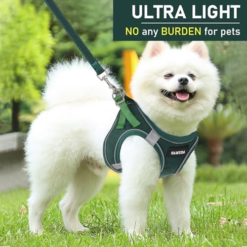 GAMUDA Small Pet Harness Collar and Leash Set, Step in No Chock No Pull Linen Fabric Soft Mesh Dog Vest Harnesses Reflective for Dogs Puppy Cats Kitten Rabbit (Green, L)