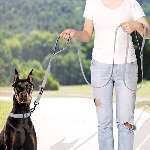 Plutus Pet Double Handle Dog Leash, 6 FT Long, for Medium Large Dogs