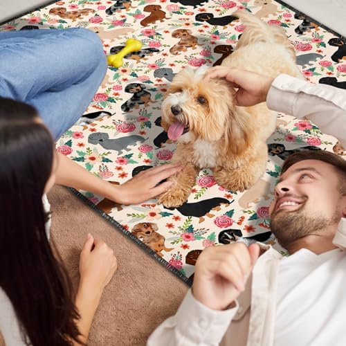 2PC Dachshund Pee Pads for Dog, Washable Absorbent Non-Slip Dog Mat 35x24in
