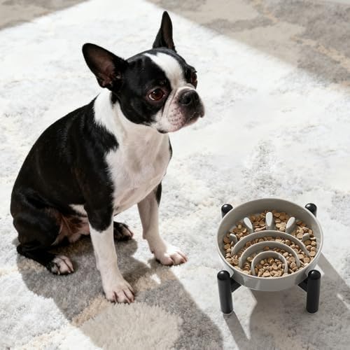 Elevated Slow Feeder Dog Bowl, 0.8 Cups Ceramic Raised Slow Feeder with Stainless Stand, 6.3 Inch Wide Lifted Dog Bowl for Small Breeds to Control Eating Speed, Grey