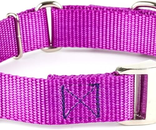 Country Brook Petz - Martingale Dog Collar - Heavy Duty Nylon Adjustable Martingale Dog Collar with Metal Buckle for Small Medium Large Breeds - 30+ Color Options (1 Inch, Extra Large, Bright Purple)