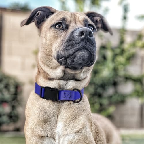 Dogline Biothane Waterproof Dog Collar with Quick Release Buckle Strong Coated Nylon Webbing with Odor- Proof for Easy Care Easy to Clean Fits Small Medium Large Dogs, Royal Blue 5/8" W 9-14" L