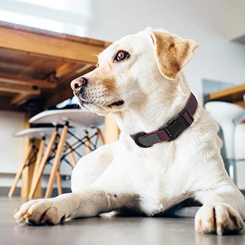 Dog Collar Waterproof Pet Collars,Neck Adjustable Silicone Dog Collar with Strong Coated Webbing and Cute Metal Pendant for Boy Girls Dog Collars S/M/L Sizes
