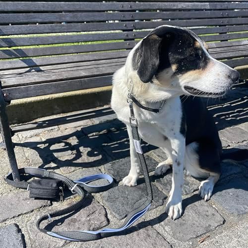 Dog Poop Bag Holder for Leashes and Treat Holder with 2 Waterproof Pouches