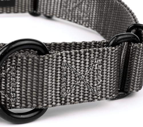 Martingale Dog Collar - Heavy Duty Nylon Adjustable Martingale Dog Collar with Plastic Buckle for Small Medium Large Breeds - 30+ Colors (1 Inch, Large, Charcoal)