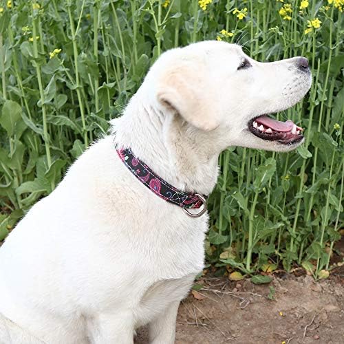 Customized Nylon Dog Collar, Personalized Dog Collar Engraved with Name and Phone Number,Adjustable ID Dog Collar with Quick-Release Buckle (S, Black)