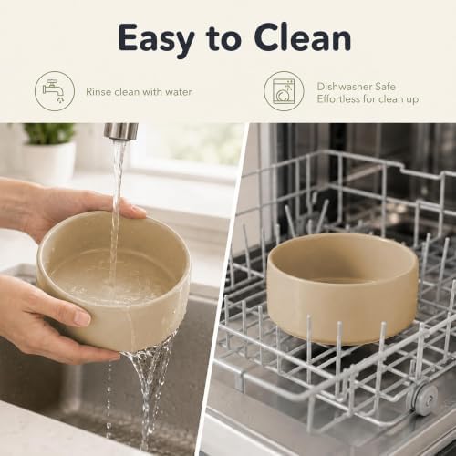 Havniva Ceramic Dog Bowls Elevated, Raised Dog Food Bowl for Small Dogs