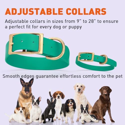 Viper Biothane Heavy Duty Waterproof Dog Collar Strong Coated Nylon Webbing w/Solid Brass Hardware Odor-Proof Easy to Clean High Performance Fits Small Medium or Large Dogs, Teal