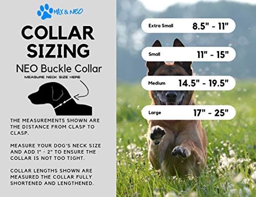 Max and Neo Patterned NEO Dog Collar - We Donate a Collar to a Dog Rescue for Every Collar Sold (Small, Bees)