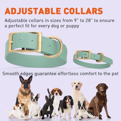 Viper Biothane Heavy Duty Waterproof Dog Collar Strong Coated Nylon Webbing w/Solid Brass Hardware Odor-Proof Easy to Clean High Performance Fits Small Medium or Large Dogs, Sage Green