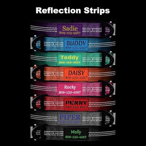 Personalized Dog Collars with Name and Phone Number, Durable Metal Buckle, Soft Neoprene Padded Reflective Nylon Collar for Large Medium and Small Dogs (Classic Version)
