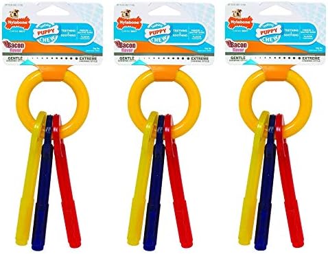 Nylabone 3 Pack of Bacon Puppy Teething Keys, Small