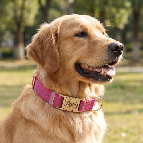 Custom Dog Collar with Name and Phone Number