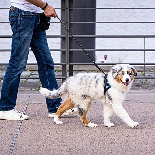 5FT Reflective Dog Leash with Padded Handle for All Dog Sizes.Black