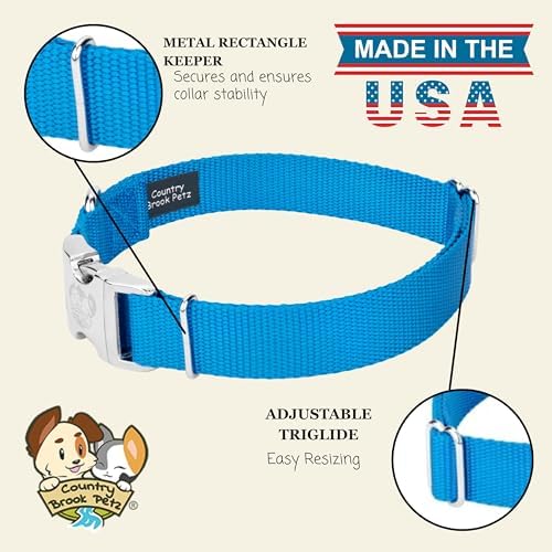 Country Brook Petz - Premium Nylon Dog Collar with Metal Buckle for Small Medium Large Breeds - 30+ Colors (Small, 3/4 Inch, Ice Blue)