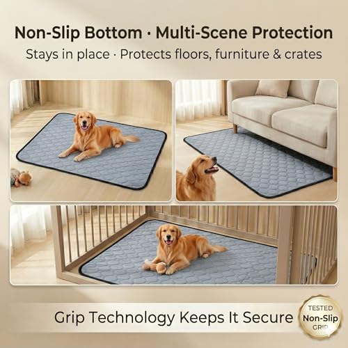 Washable & Reusable Pee Pads for Dogs (Grey,36x48,2 Packs)