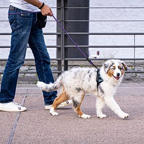 5FT Reflective Dog Leash with Padded Handle for All Dog Sizes.Purple
